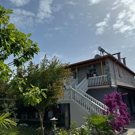 House Lezhë